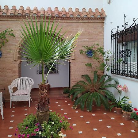 Hostal Andalucia Chipiona Exteriér fotografie